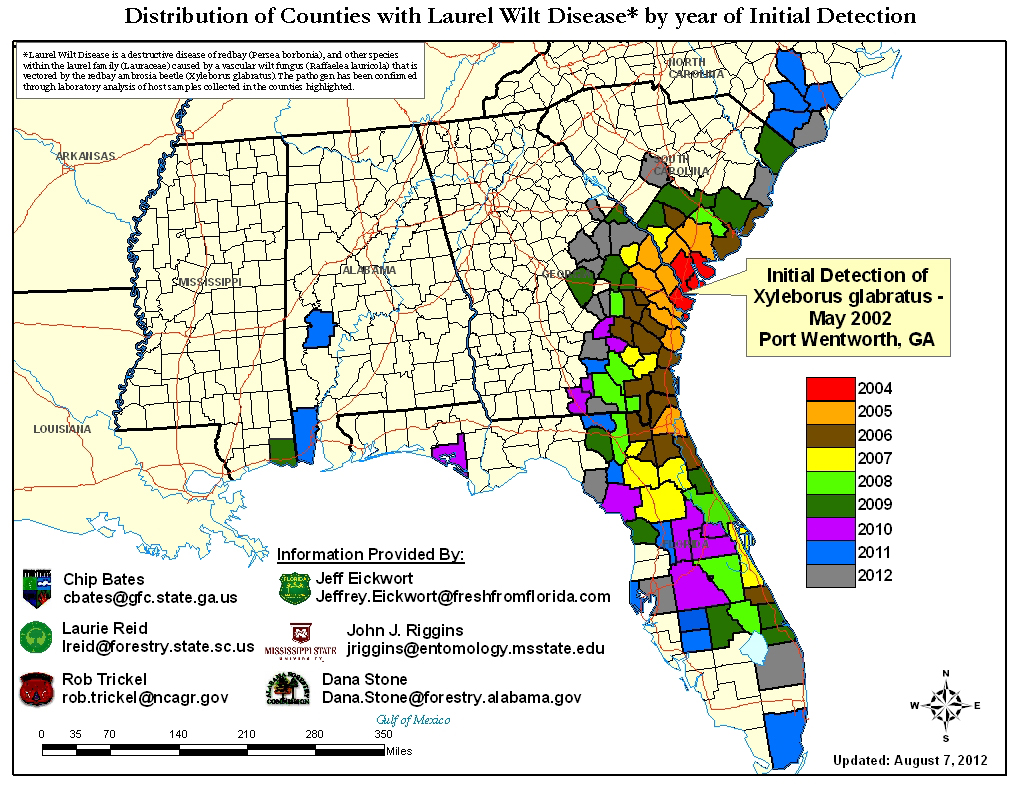 Figure 4 – Current distribution of LW in the southeastern United States as of August 2012 (http://www.fs.fed.us/r8/foresthealth/laurelwilt/dist_map.shtml).
